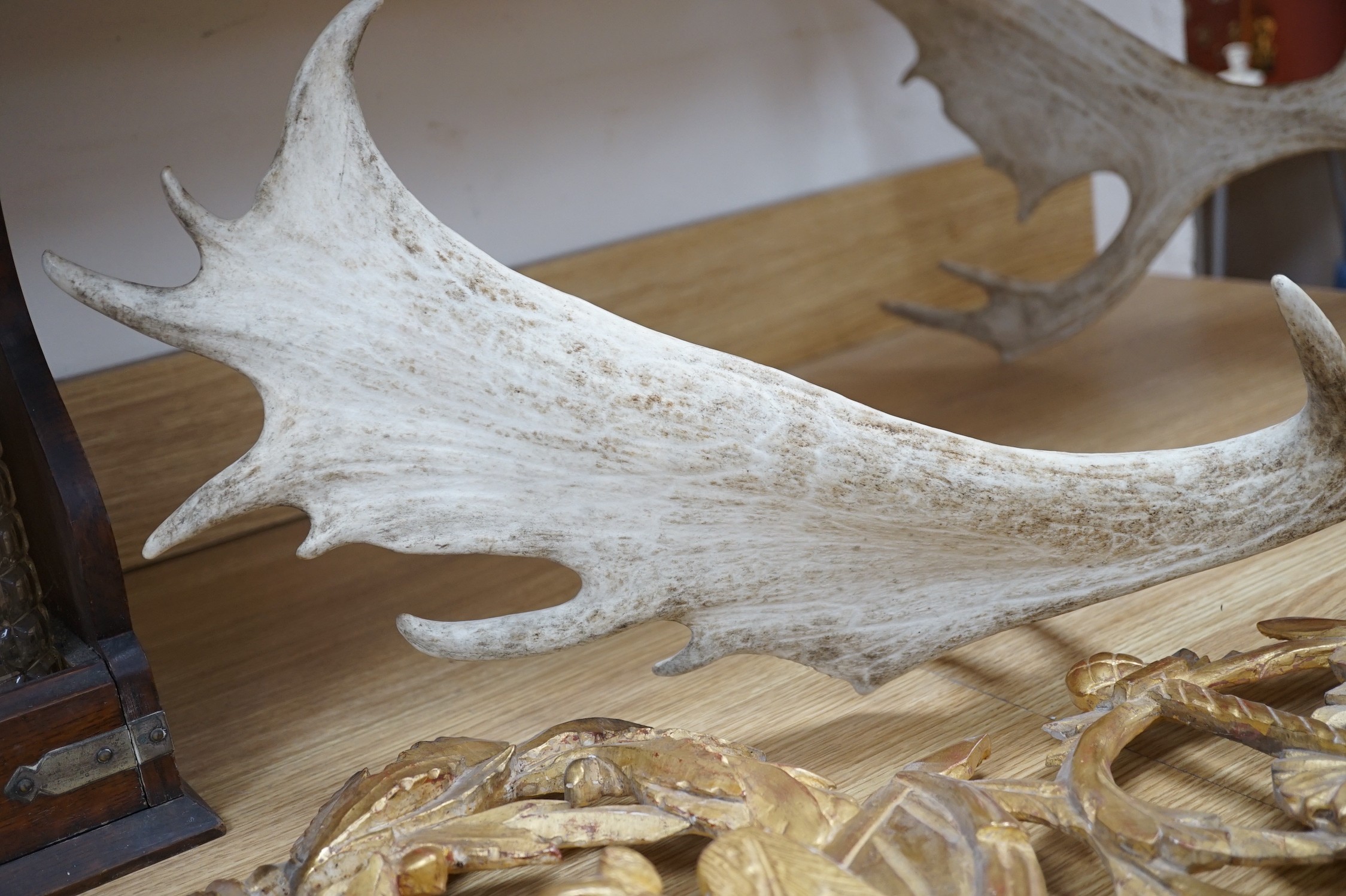 A mounted pair of stag antlers, 96cms high